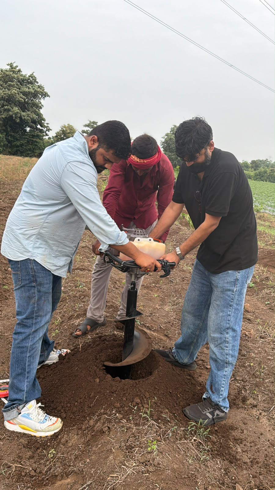 Saplings being raised in our nursery ahead of the drive